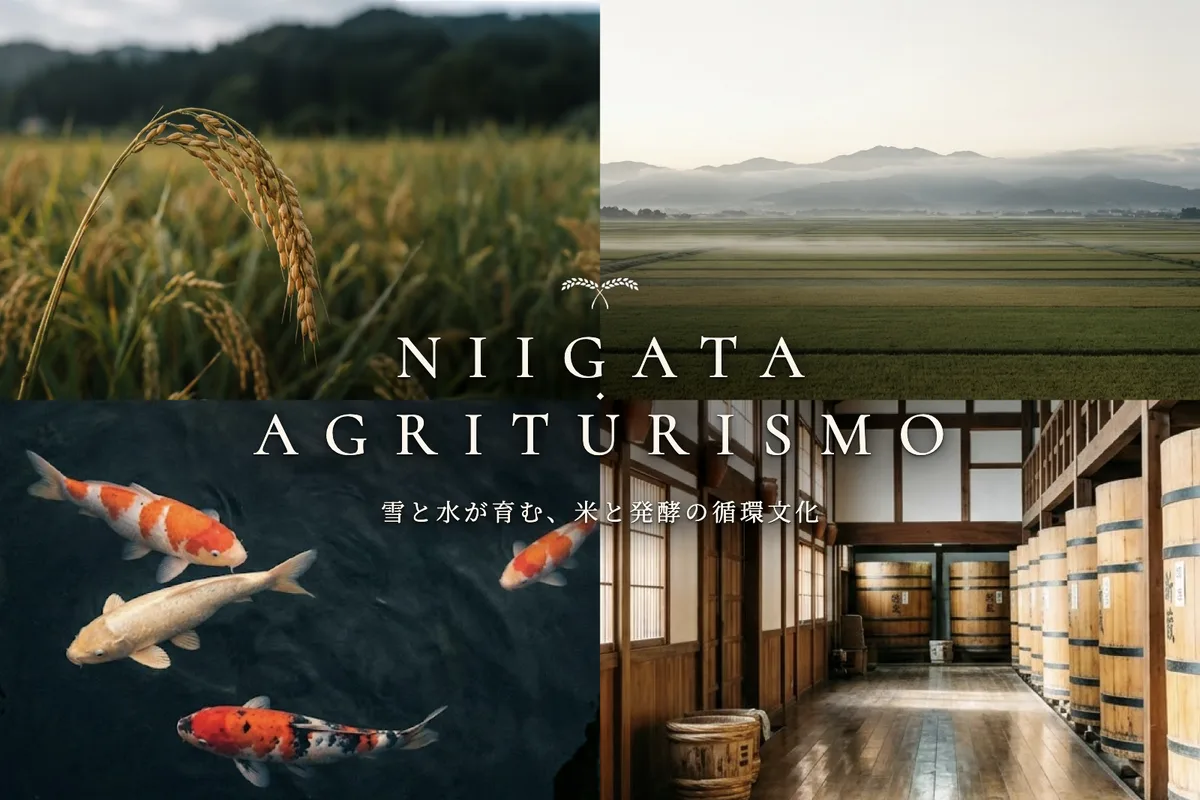 Niigata Agriturismo key visual, rice and water